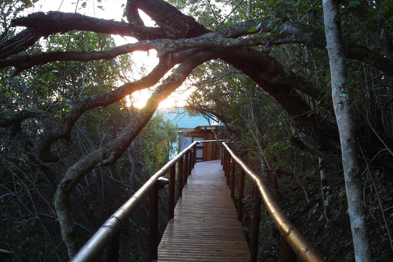 Boardwalk Lodge - Self-Catering Wildernis Extérieur photo
